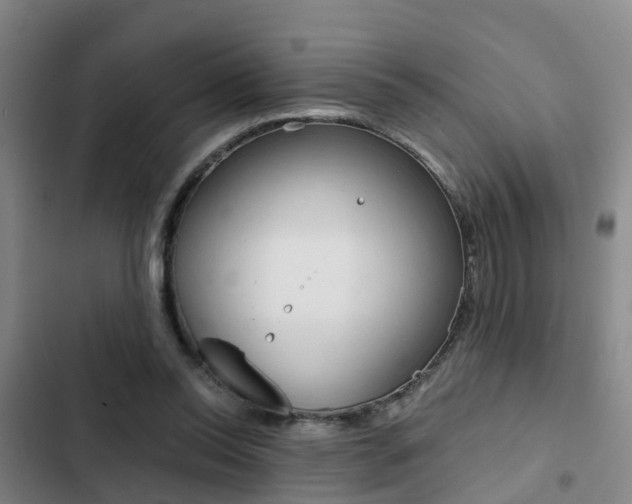 X0000103270350200808291112