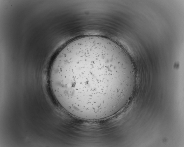X0000103270351200808291112