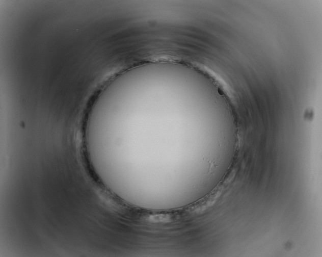 X0000103270353200808291112