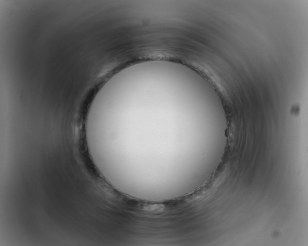 X0000103270355200808291112