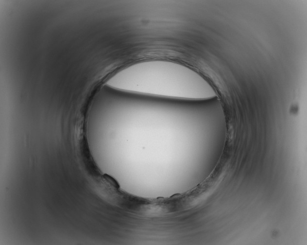X0000103270356200808291112
