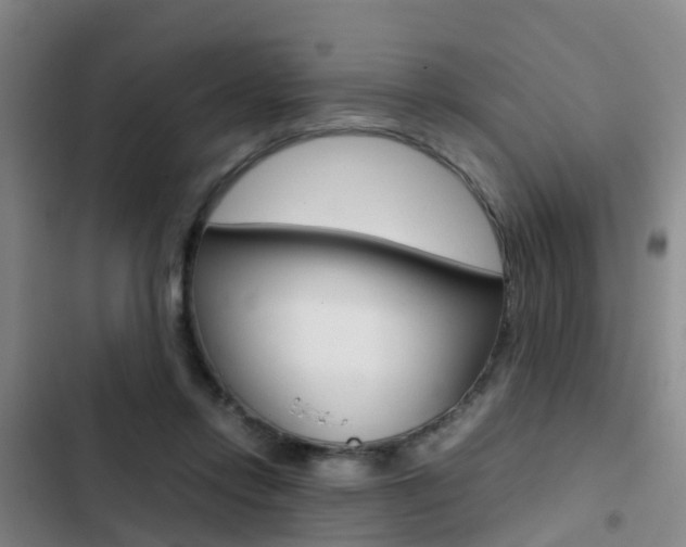 X0000103270358200808291112