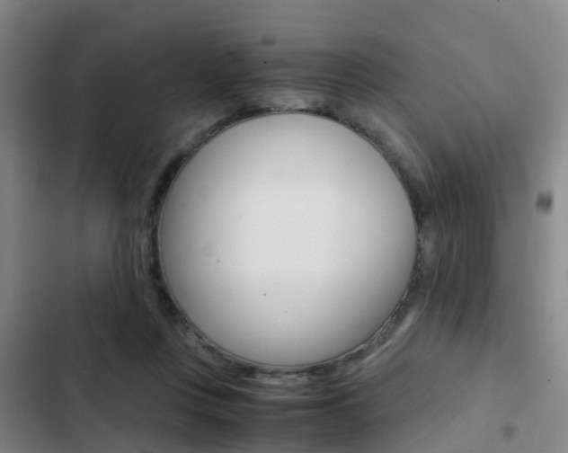 X0000103270359200808291112