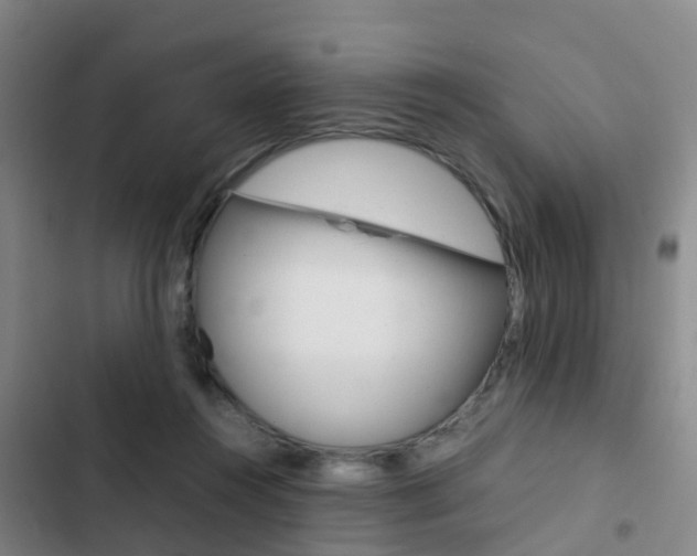 X0000103270360200808291112