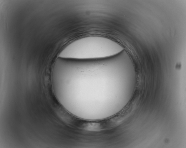 X0000103270361200808291112