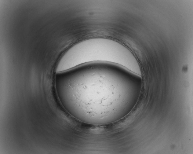 X0000103270362200808291112