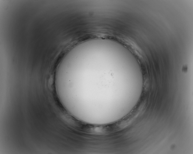 X0000103270365200808291112