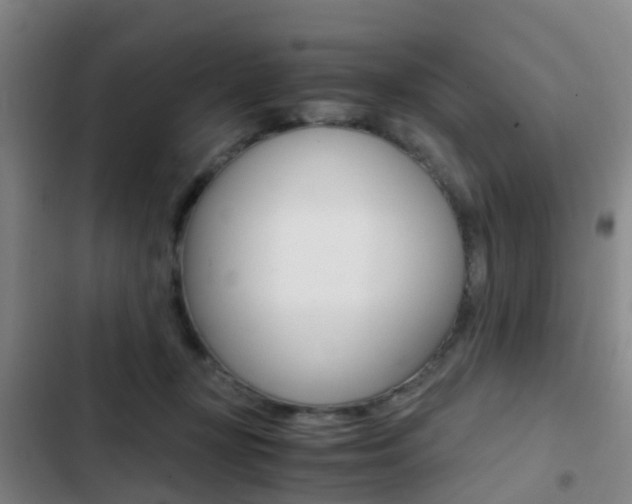 X0000103270367200808291113