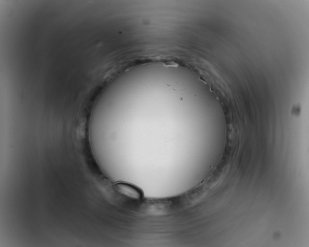 X0000103270368200808291113