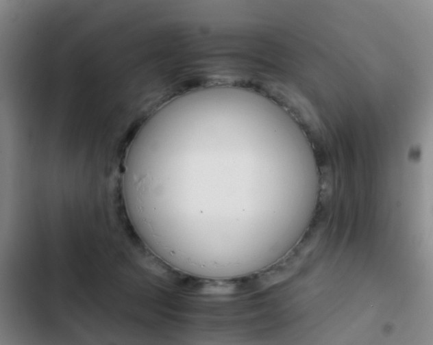 X0000103270369200808291113