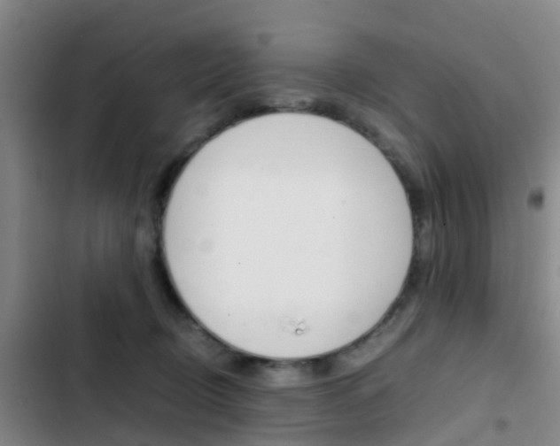 X0000103270370200808291113