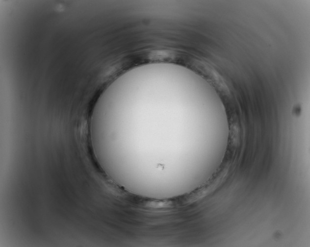 X0000103270375200808291113