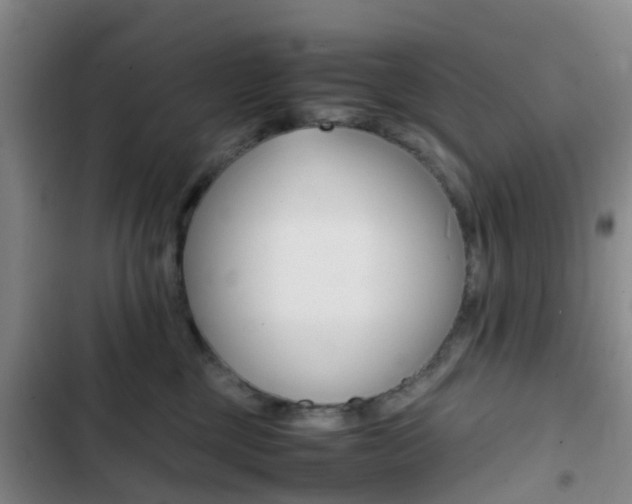 X0000103270377200808291113