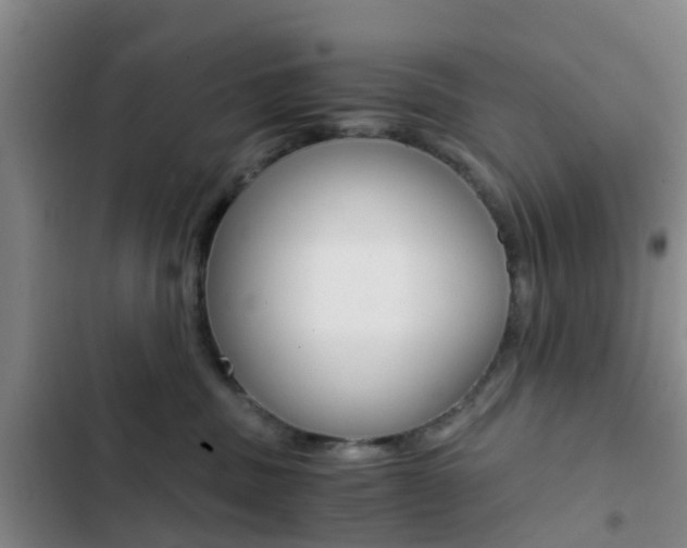 X0000103270379200808291113