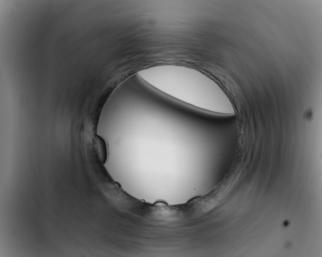X0000103270380200808291113