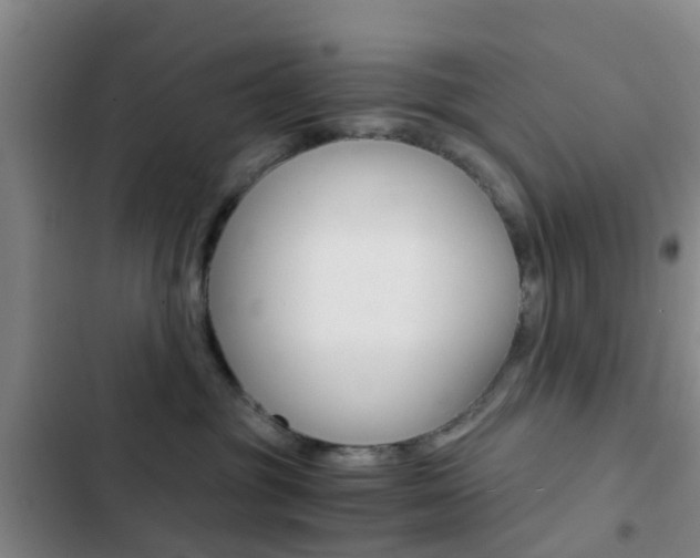 X0000103270381200808291113