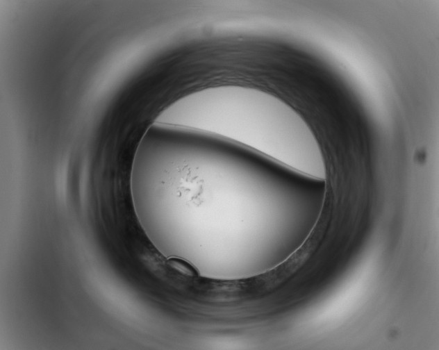 X0000103270382200808291113