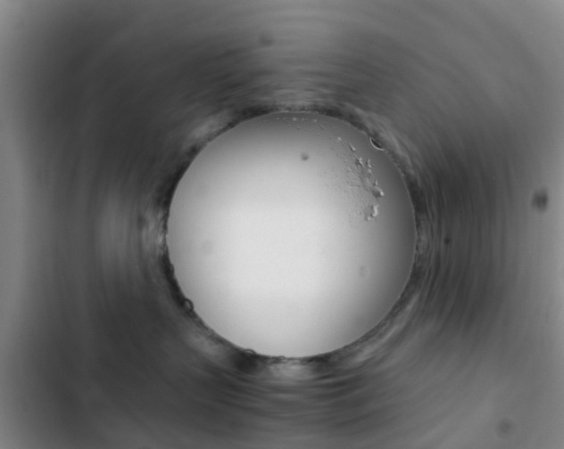 X0000103270383200808291113