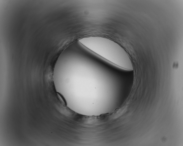 X0000103270384200808291113