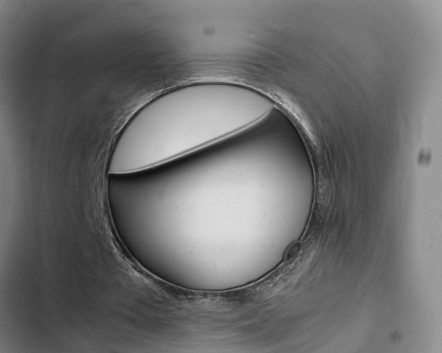 X0000103270385200808291112