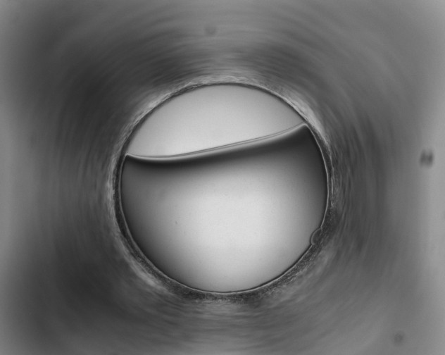 X0000103270389200808291112