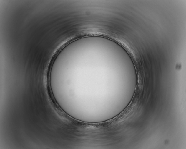 X0000103270390200808291112