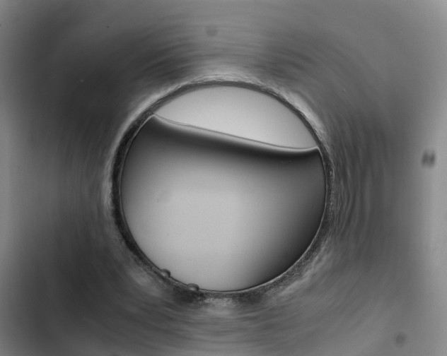 X0000103270391200808291112