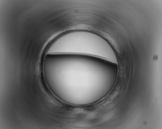 X0000103270392200808291112