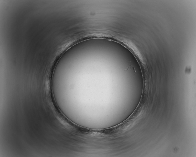 X0000103270393200808291112