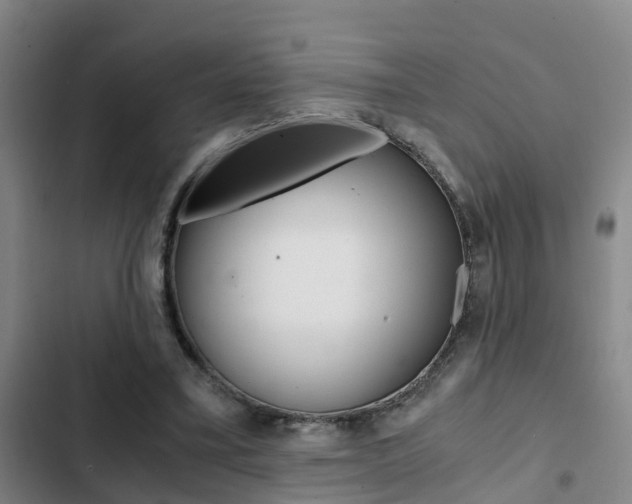 X0000103270395200808291112