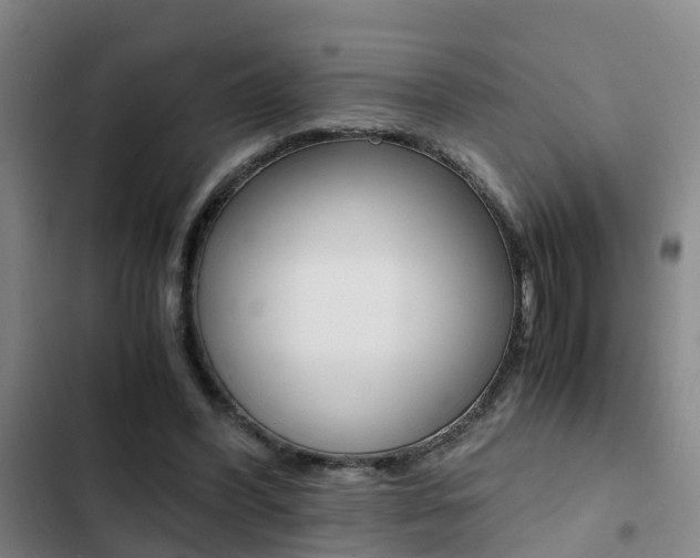 X0000103270396200808291112