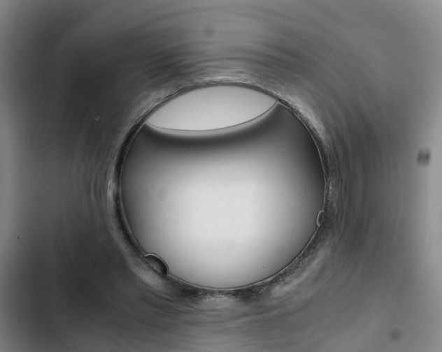 X0000103270397200808291112