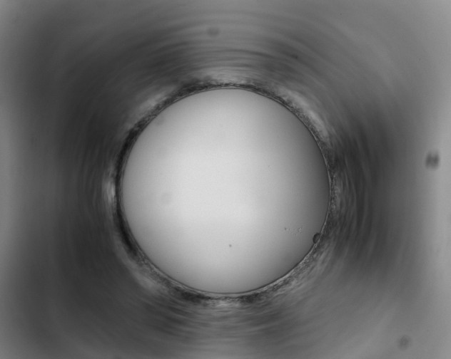 X0000103270398200808291112