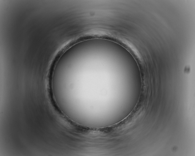 X0000103270399200808291112