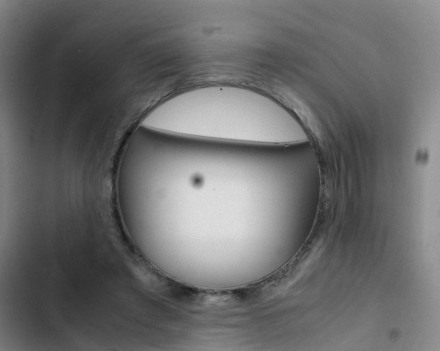 X0000103270401200808291112