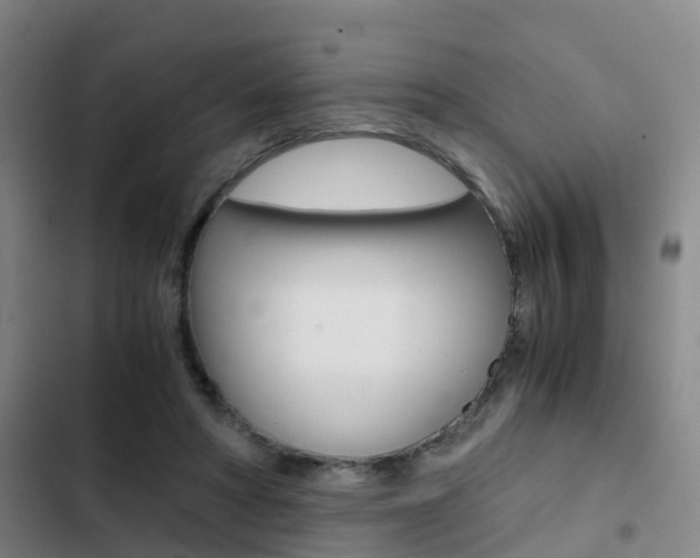 X0000103270402200808291112