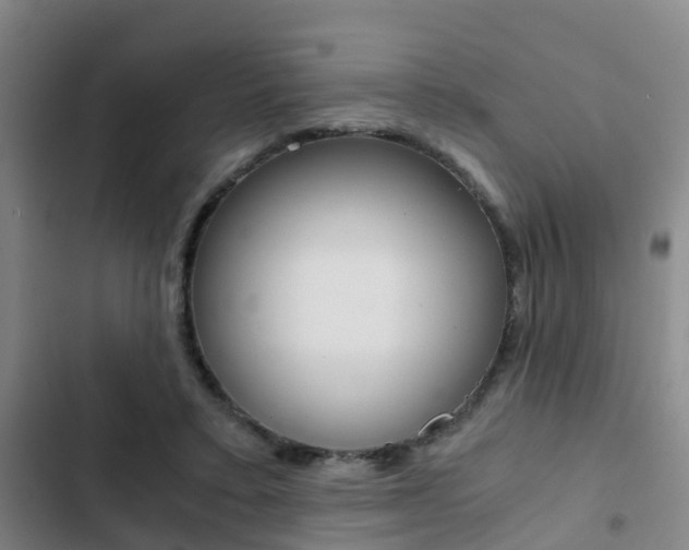 X0000103270403200808291112