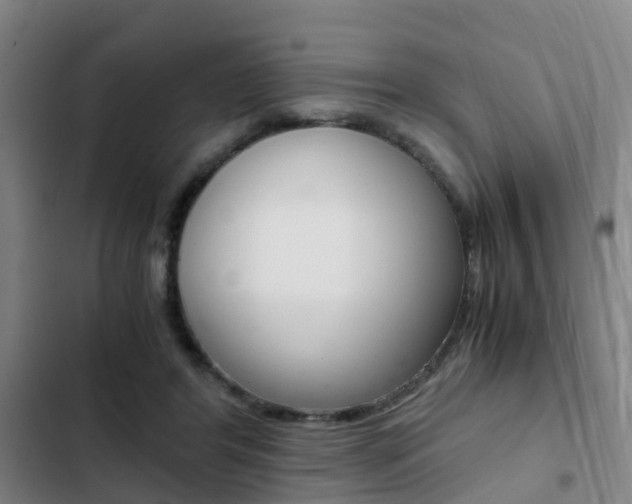 X0000103270404200808291111