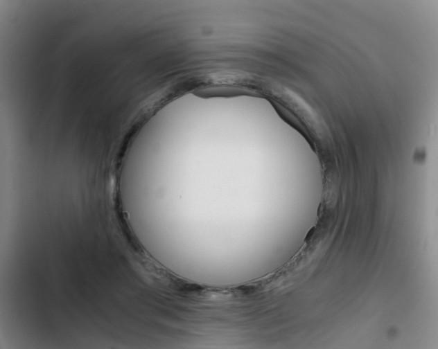 X0000103270405200808291111