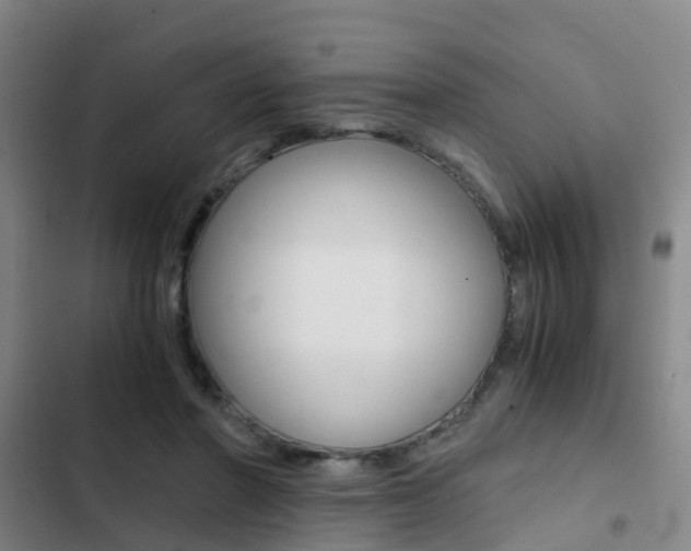 X0000103270406200808291111