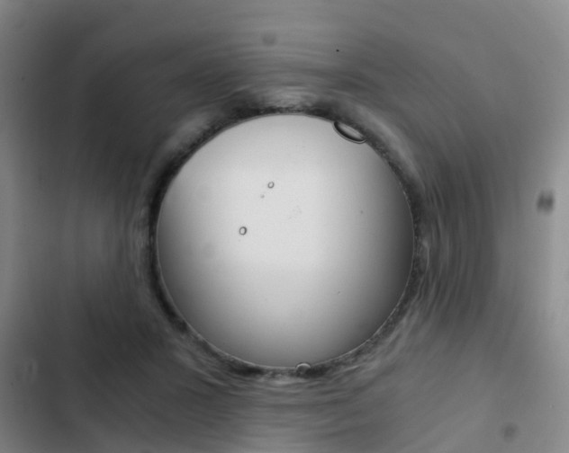X0000103270407200808291111