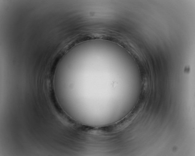 X0000103270408200808291111