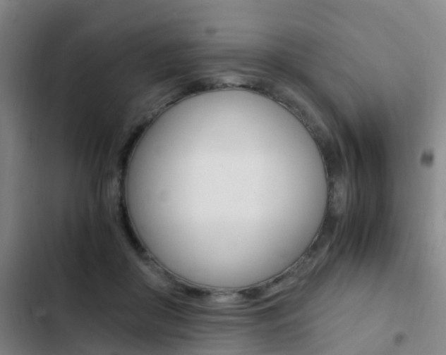 X0000103270410200808291111