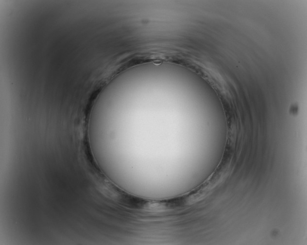 X0000103270413200808291111