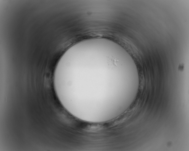 X0000103270414200808291111