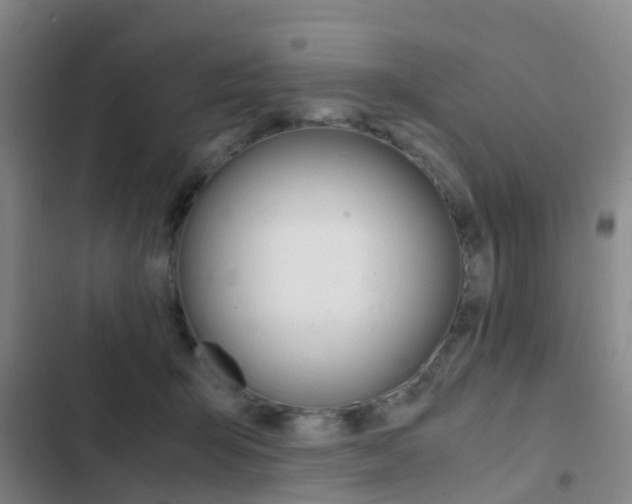X0000103270415200808291111