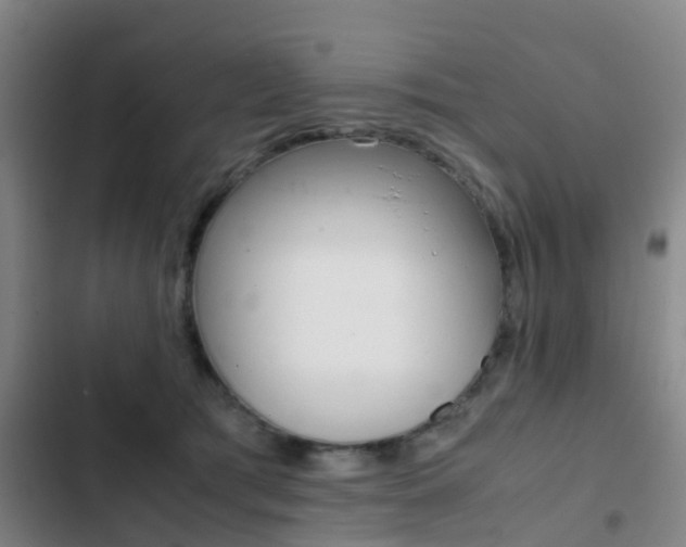 X0000103270417200808291111