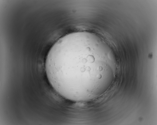 X0000103270418200808291111