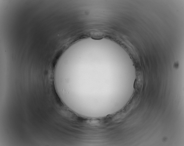 X0000103270419200808291111