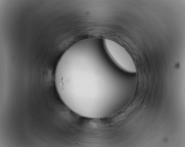 X0000103270420200808291111